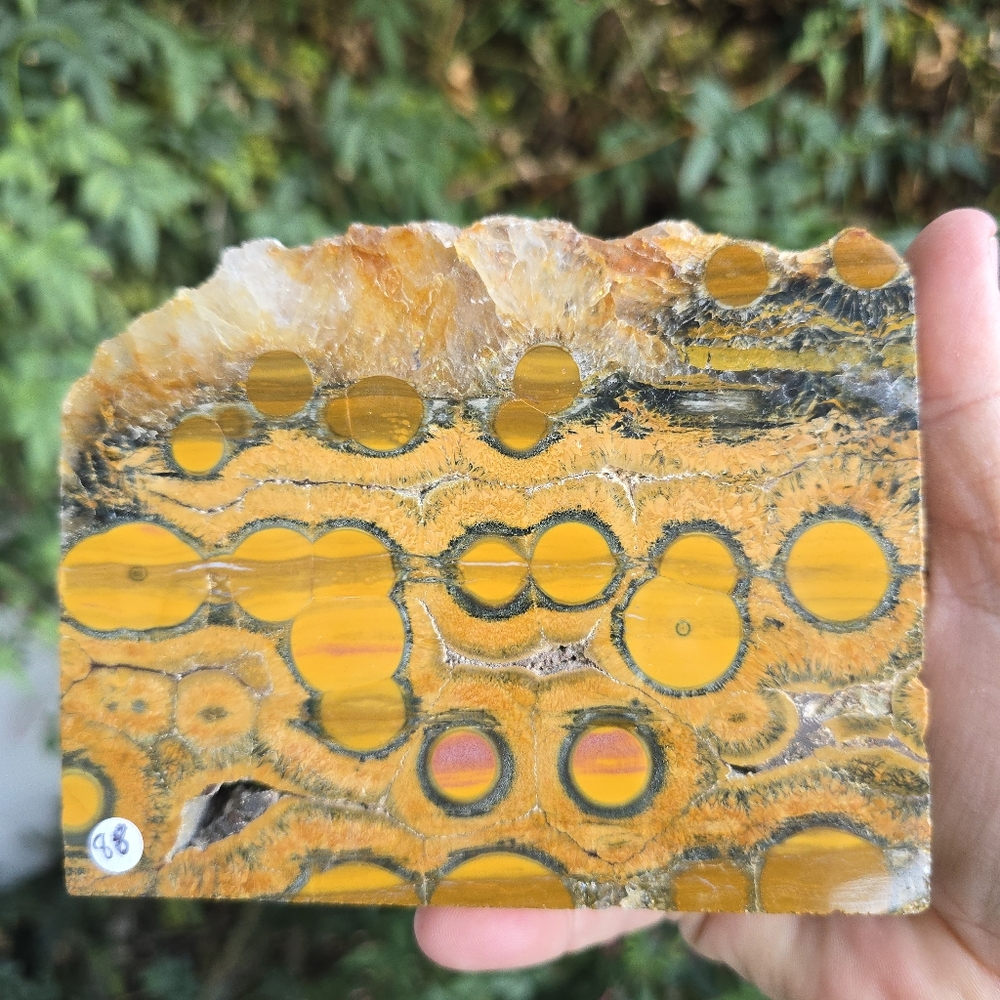 Kabamby Ocean Jasper Freeform